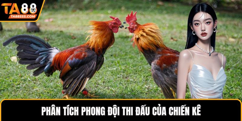 Phân tích phong đội thi đấu của chiến kê